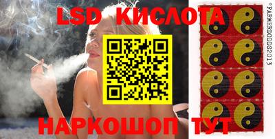 spice Будённовск