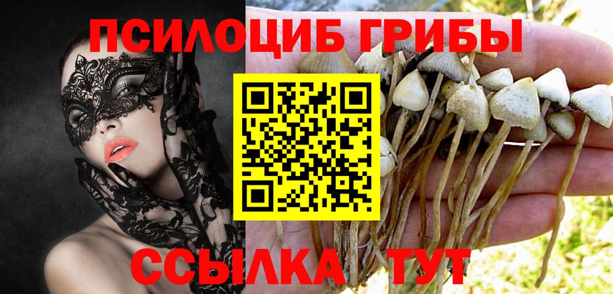 Псилоцибиновые грибы мицелий  Вход с VPN  Галлюциногенные грибы GOLDEN TEACHER  Кызыл 